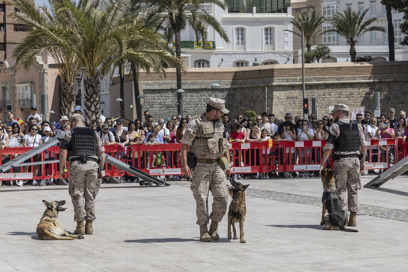 El Día de las Fuerzas Armadas este sábado en Cartagena, en imágenes