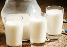 La OCU pone a prueba la leche entera de los supermercados