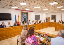 Los concejales del Ayuntamiento de Torrevieja, durante el pleno celebrado este viernes.