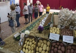 Un grupo de personas visita la exposición sobre variedades de patata, este domingo en La Puebla.
