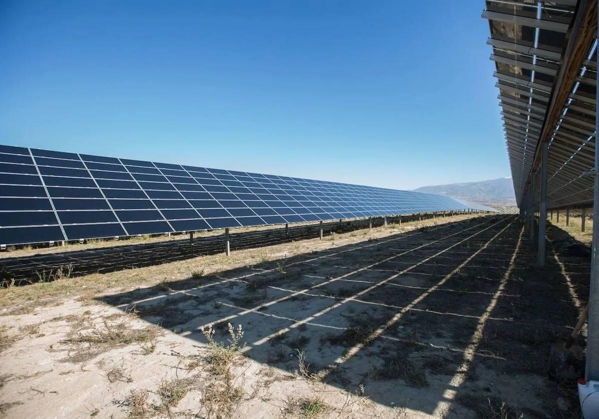 Paneles solares en una planta fotovoltaica.