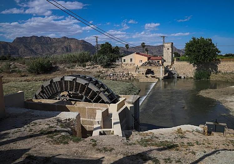 Estado que presentaban las Norias Gemelas tras el desbroce de cañas efectuado por la CHS, el pasado mayo.