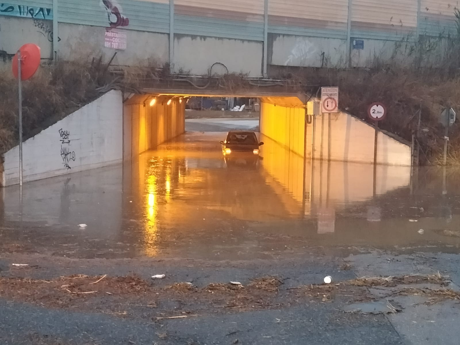 Imagen secundaria 2 - Retiran un árbol caído en la avenida de La Flota. A la derecha, un conductor atrapado en el túnel de Senda de Granada.