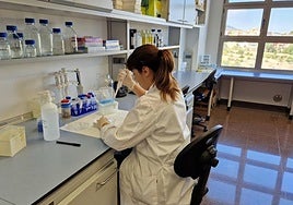 Una doctora realiza unas pruebas en el laboratorio, en imagen de archivo.