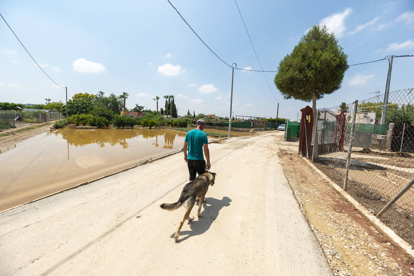 Las imágenes de los destrozos de la riada en Ribera de Molina