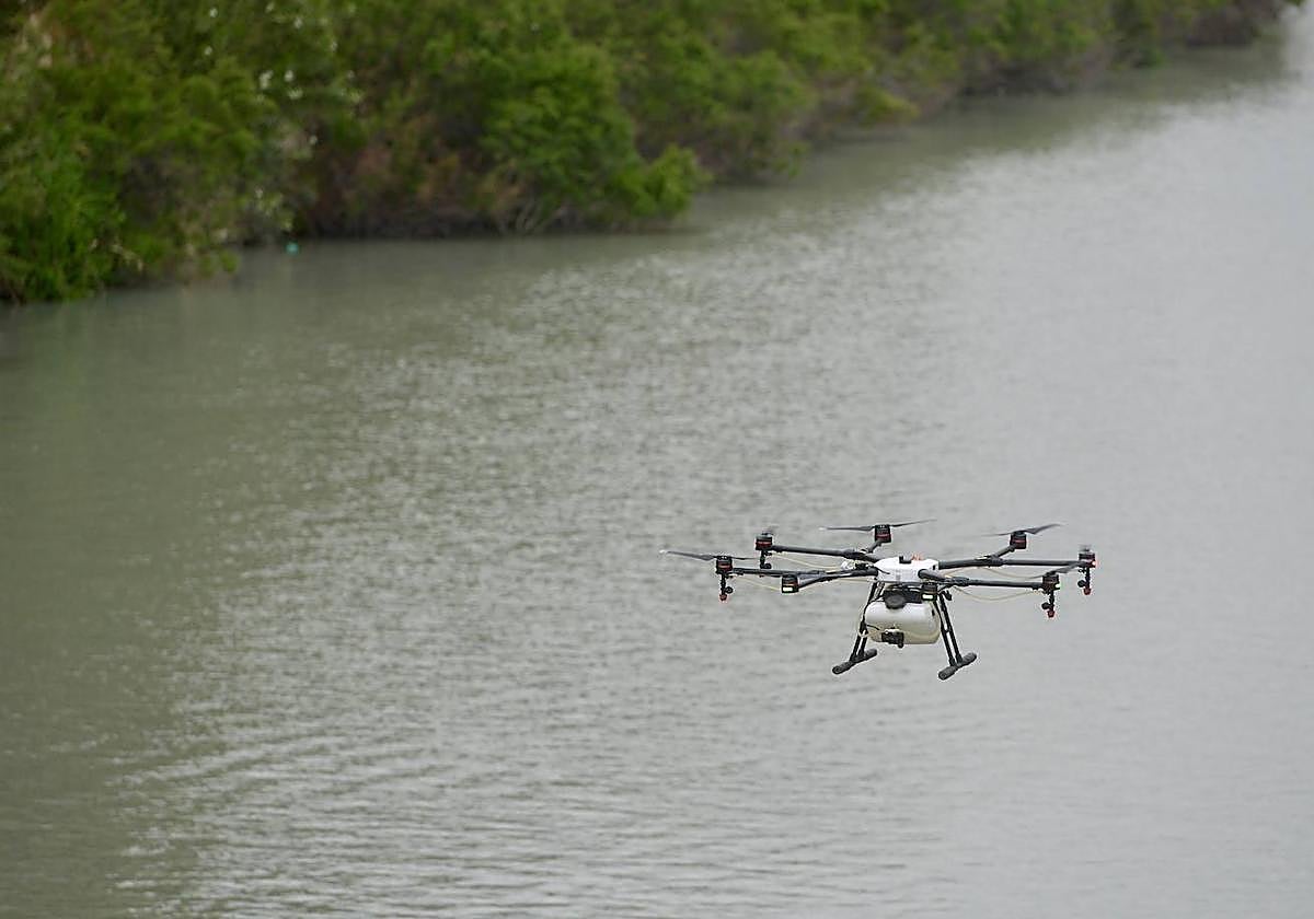 Uno de los drones empleados por el Ayuntamiento para acceder a zonas complicadas que pueden ser foco para los mosquitos.