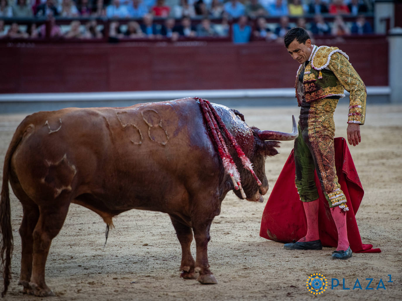 Las imágenes de la faena de Ureña en Madrid