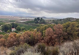 Sierra Espuña, junto al canal del trasvase Tajo-Segura.