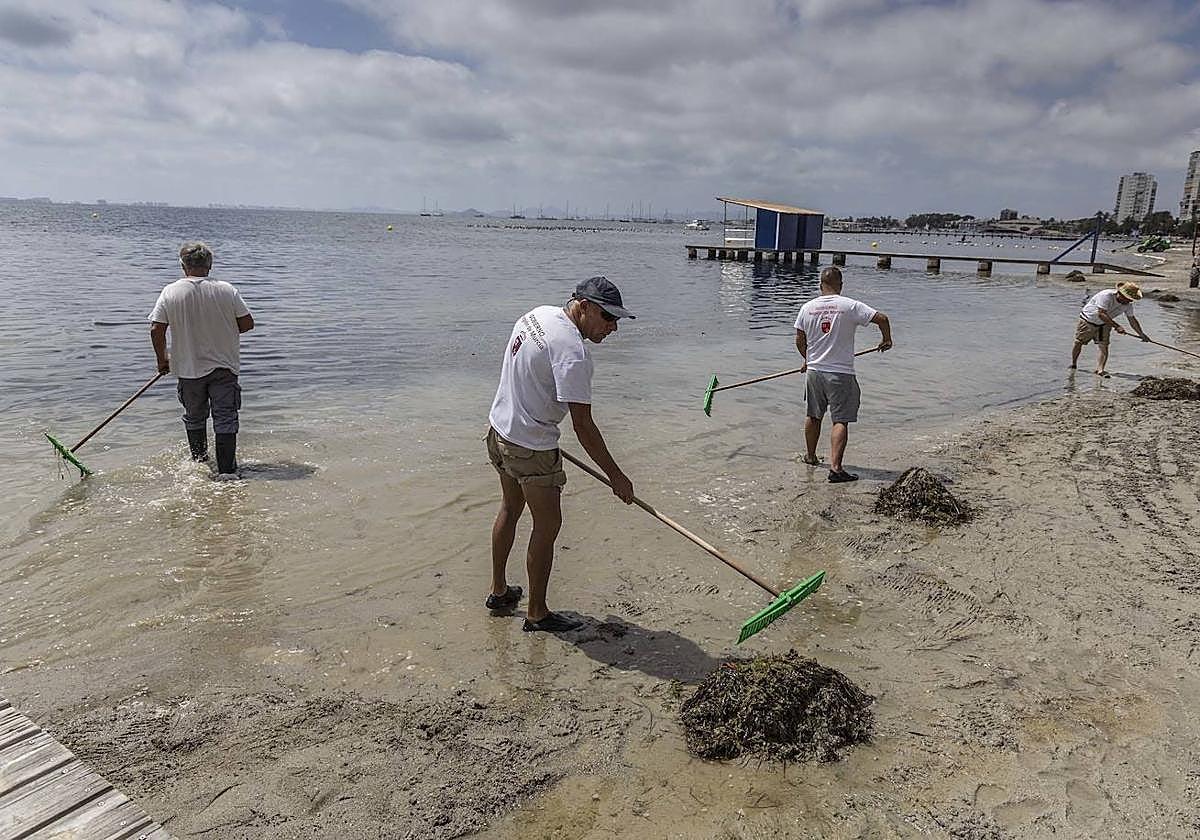 Retirada de biomasa, este lunes, en la playa de Santiago de la Ribera.