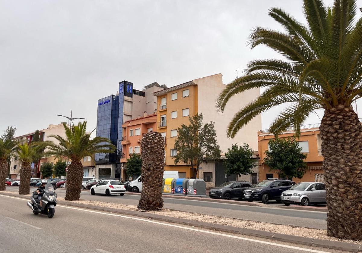 Una de las palmeras afectadas por el picudo en la avenida Ginés Campos.