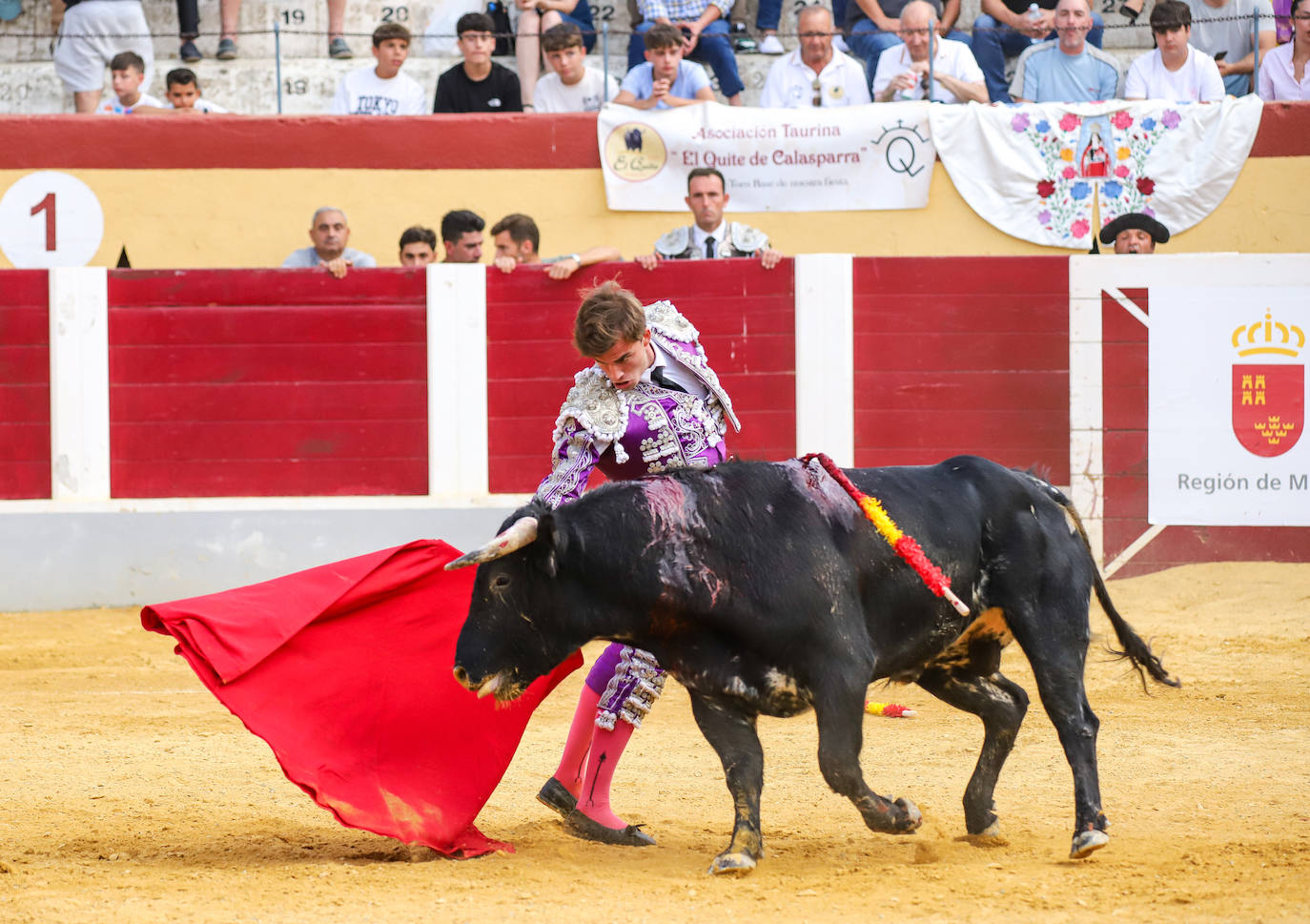 Imágenes de la Gran novillada en Cehegín