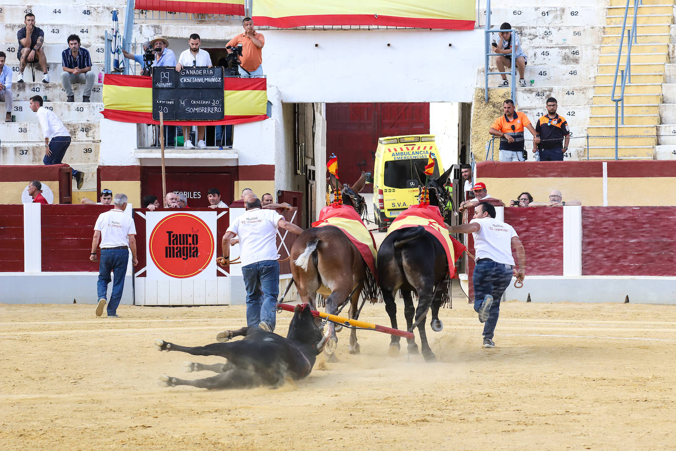 Imágenes de la Gran novillada en Cehegín