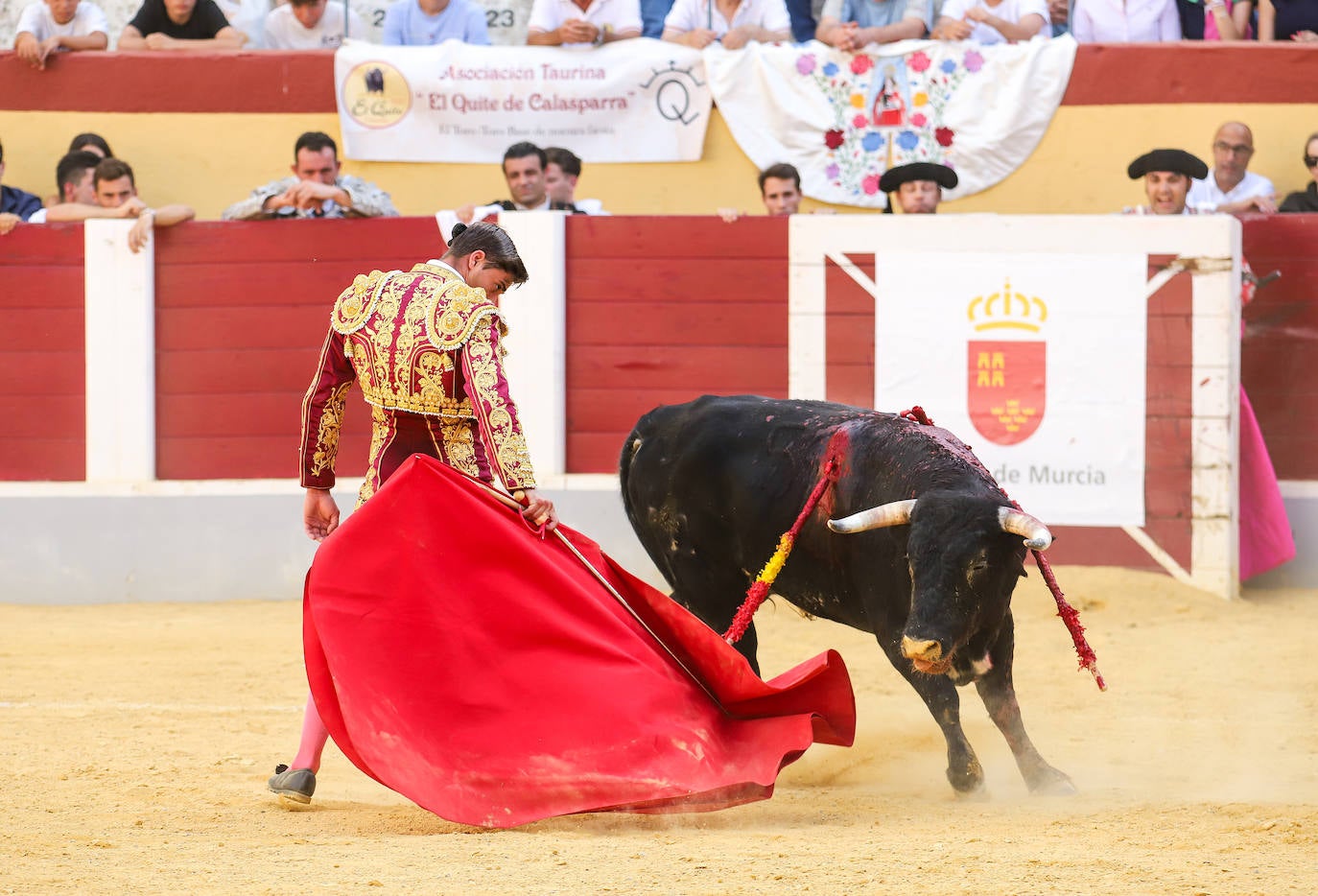 Imágenes de la Gran novillada en Cehegín