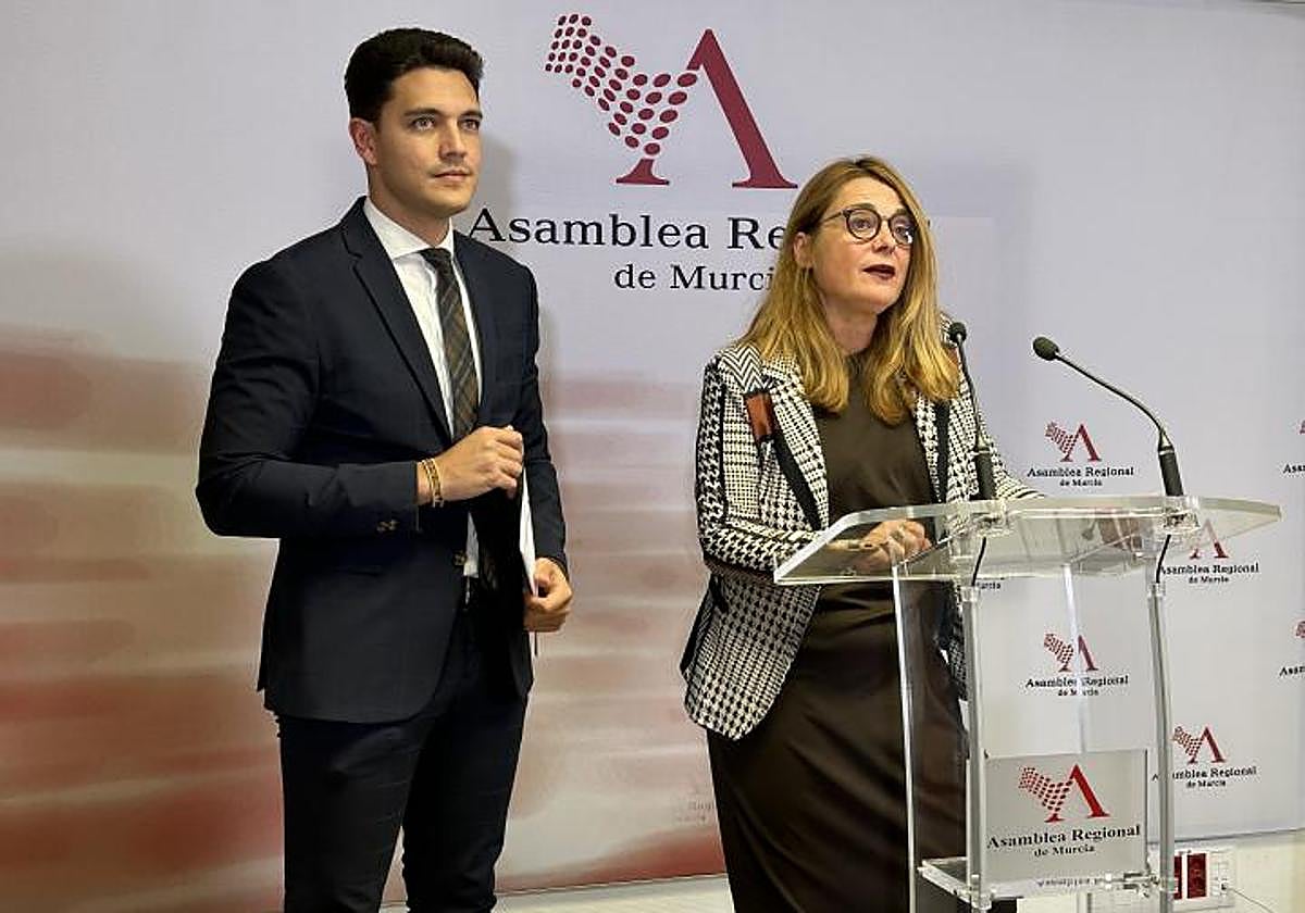 Juan Andrés Torres y Virginia Lopo, en una rueda de prensa en la Asamblea.