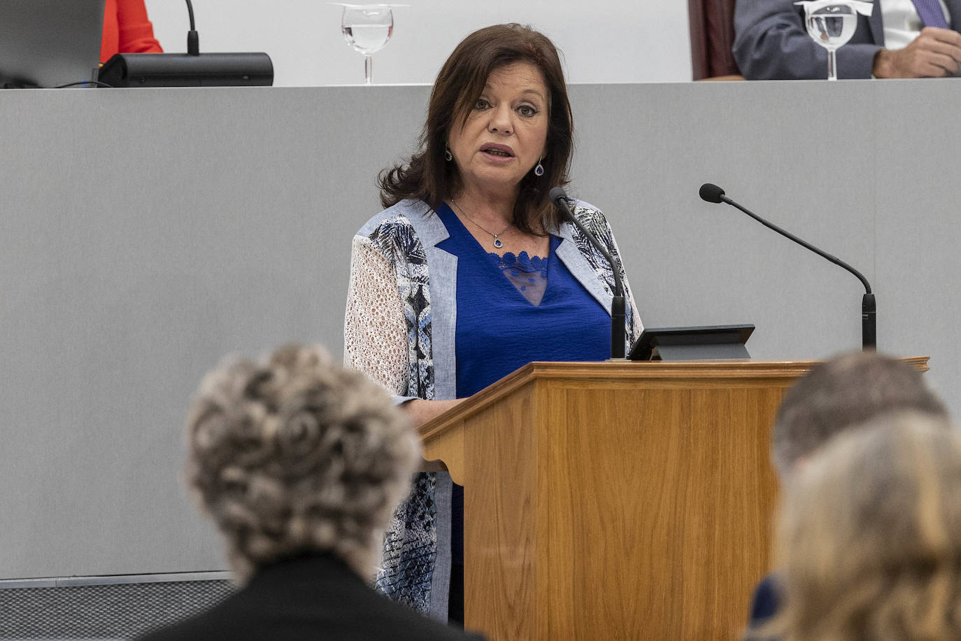 Pleno de la Asamblea pospuesto, en imágenes