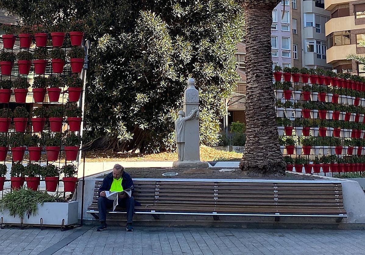 Estatua de Ricardo Codorniú, de cara al ficus de Santo Domingo.