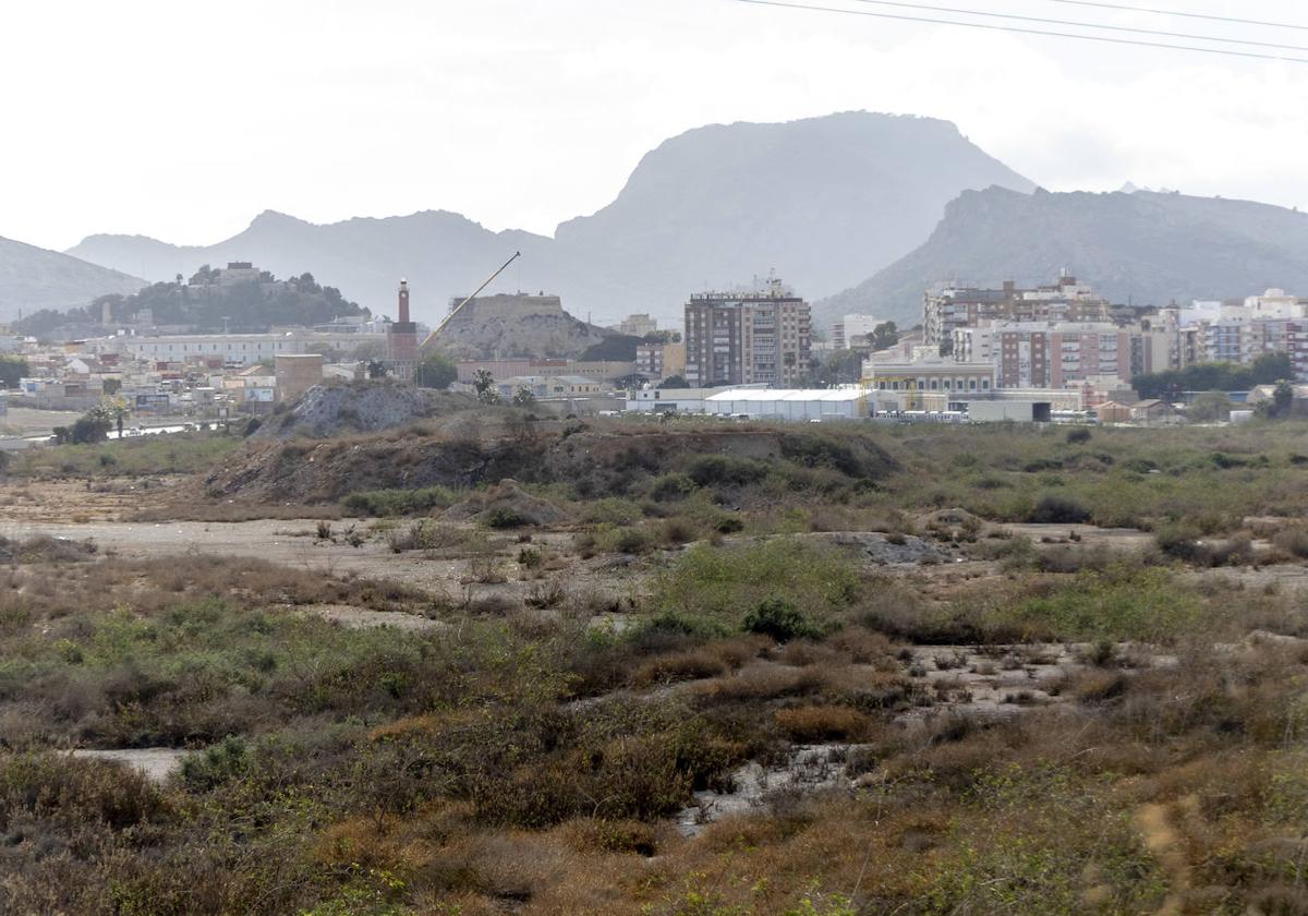 Terrenos de El Hondón con Cartagena de fondo.