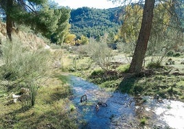 Tramo restaurado del río Taibilla.