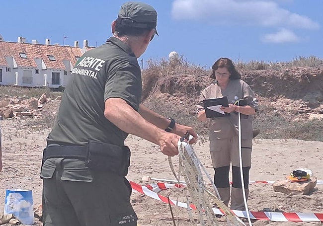 La veterinaria del Centro de Recuperación de Fauna de El Valle toma nota de las mediciones realizadas con ayuda de los agentes medioambientales de San Pedro.
