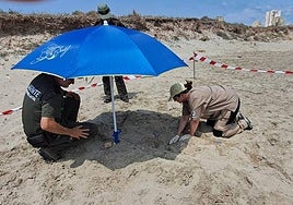 La veterinaria del Centro de Recuperación de Fauna de El Valle inspecciona el intento de anidamiento de una tortuga boba ('Caretta caretta') en la playa de las Amoladeras (Cabo de Palos).