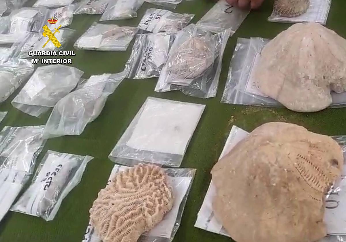 Algunas de las piezas arqueológicas encontradas.