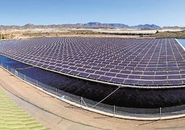 Planta solar flotante en la desaladora de los regantes de Mazarrón.