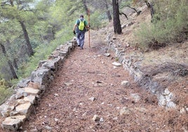 Un vecino camina por un sendero de piedra en Sierra Espuña.