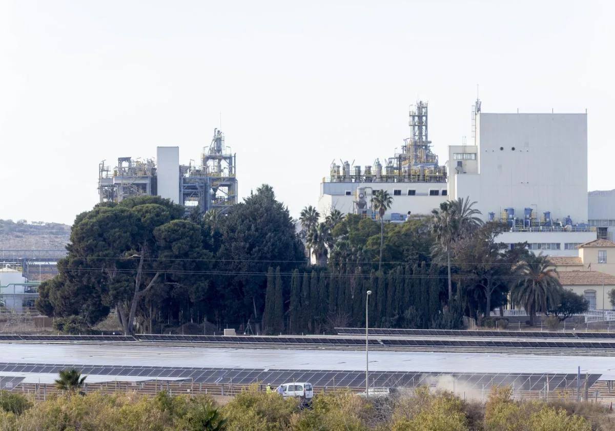 Dos trabajadores en la planta solar construida por Iberdrola junto a la empresa Sabic.