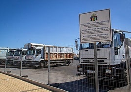 Un grupo de camiones de basura, aparcados en Lomas de Cabo Roig.