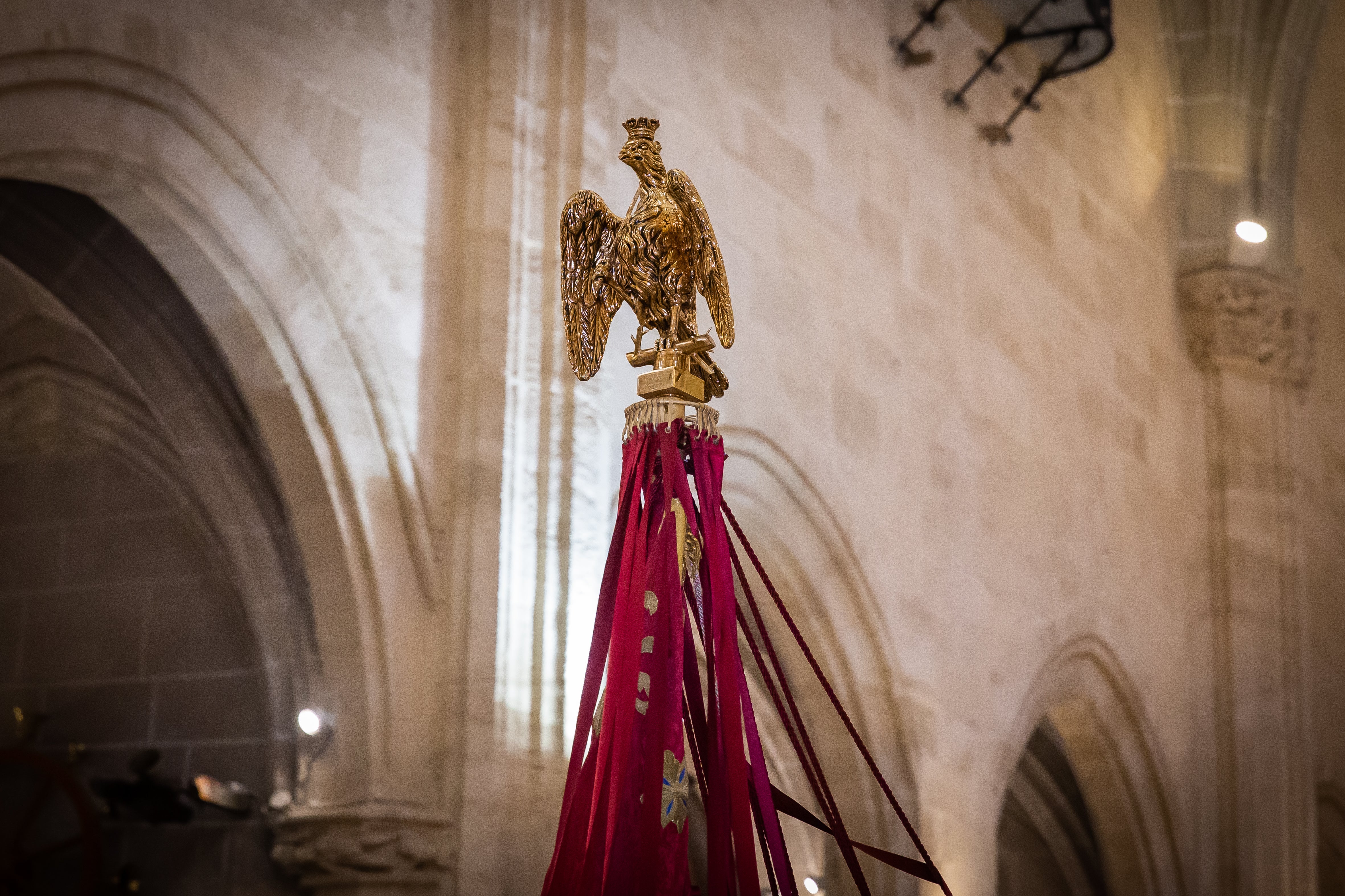 Las imágenes del Día del Pájaro en Orihuela