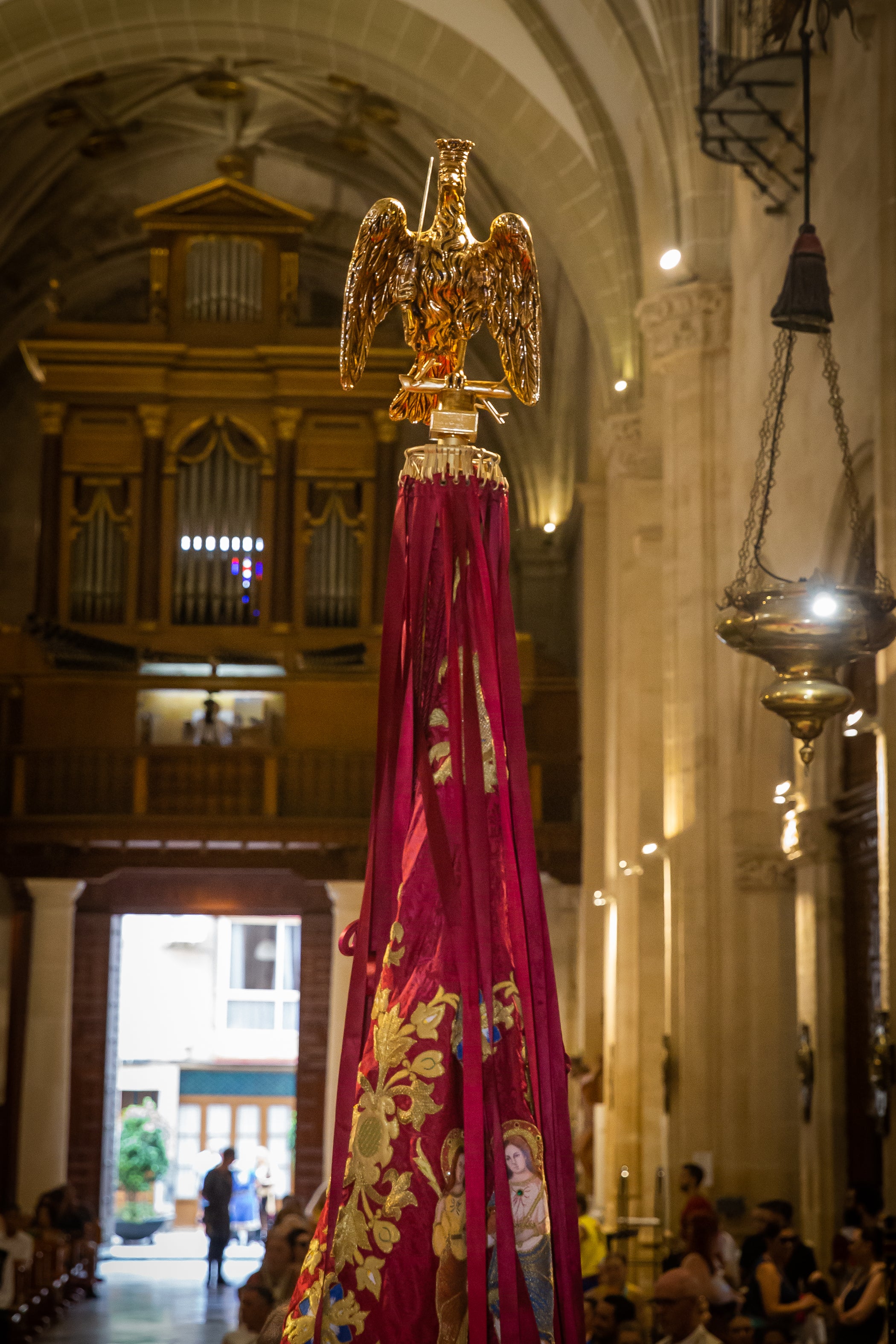 Las imágenes del Día del Pájaro en Orihuela