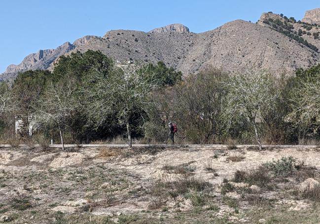 Anónimo caminante recorre la senda del segura a la altura de los tubos del Trasvase, en Orihuela.