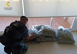 Un agente de la Usecic con la droga decomisada.