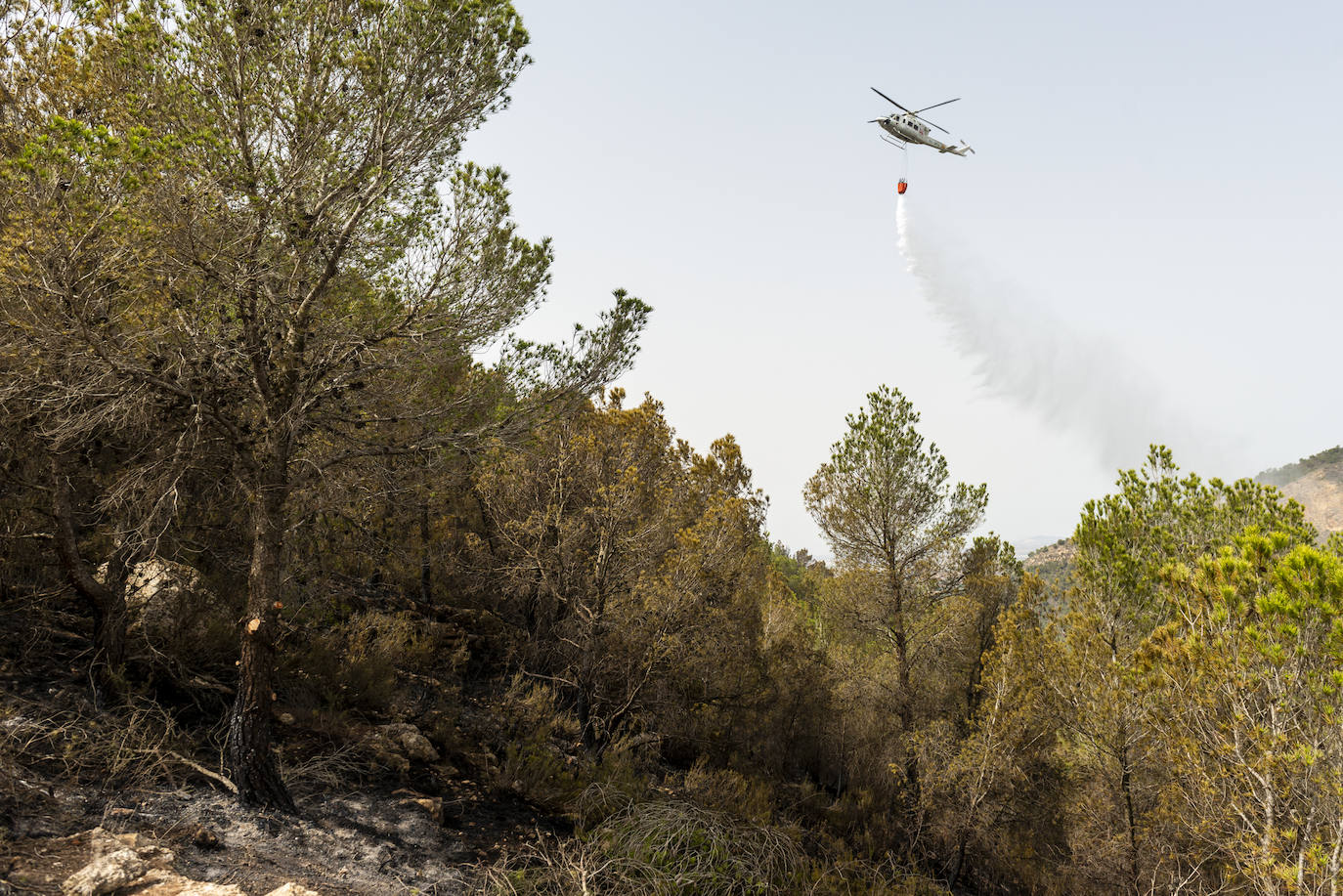 Un incendio en la sierra de Altaona alarma a los vecinos de Murcia