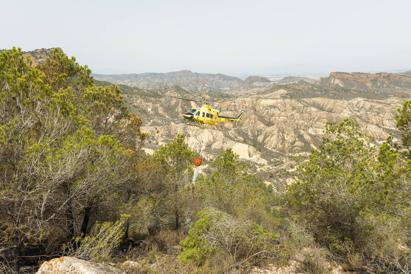 Un incendio en la sierra de Altaona alarma a los vecinos de Murcia