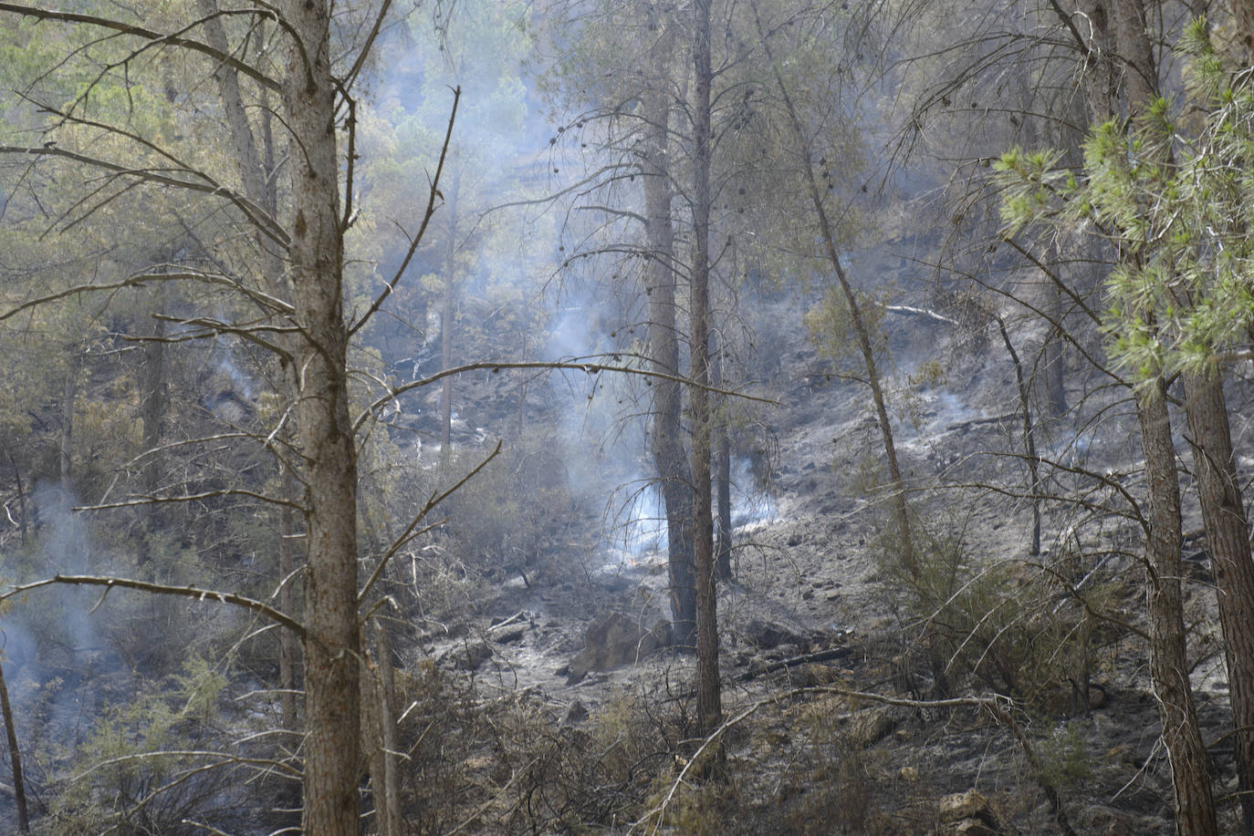 Un incendio en la sierra de Altaona alarma a los vecinos de Murcia