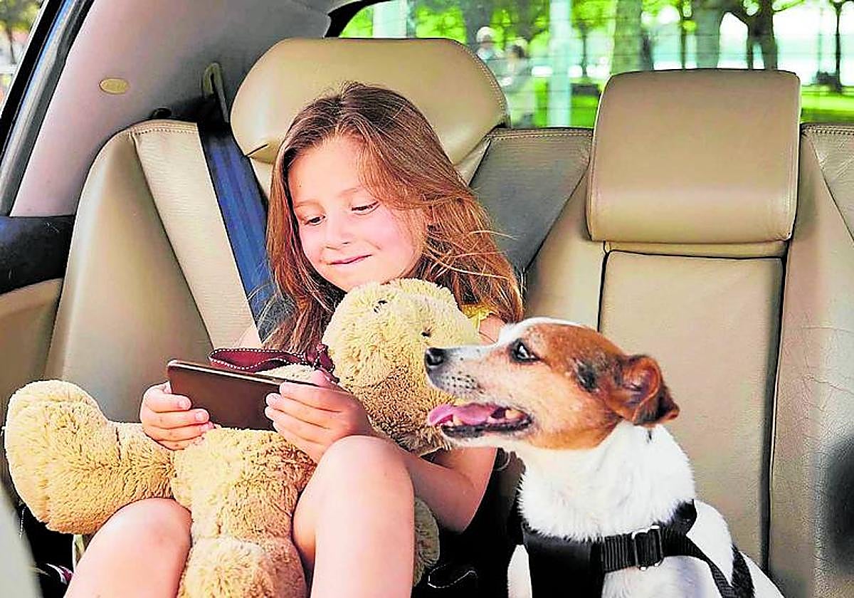 Todo lo que hay que saber para proteger correctamente a los perros en los viajes