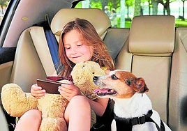 Todo lo que hay que saber para proteger correctamente a los perros en los viajes