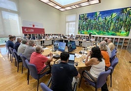 Reunión plenaria del Consejo Escolar de la Región, celebrada ayer.