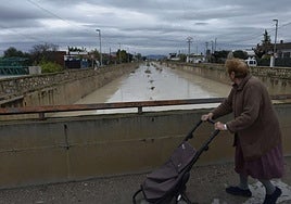 Acostumbrados. Una vecina cruza el puente sobre el Reguerón en la pedanía de Beniaján durante una crecida en 2016, en una instantánea de Guillermo Carrión.
