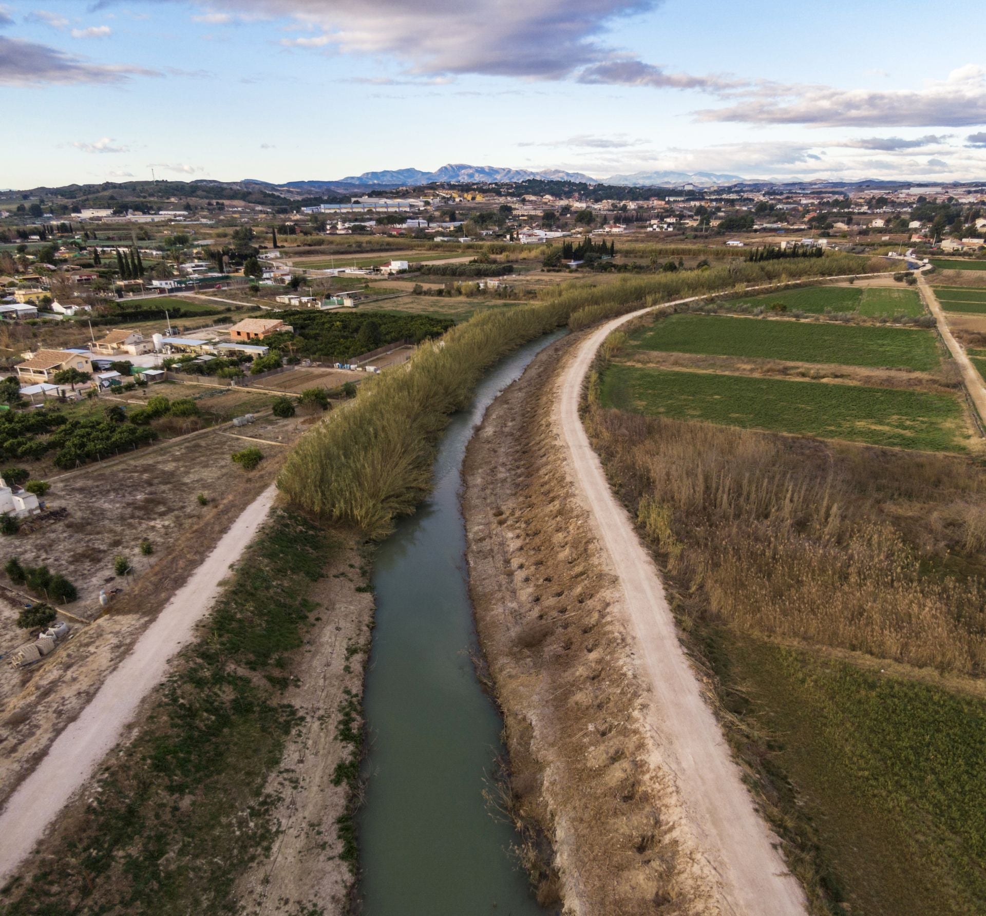 Recuperación de árboles y arbustos de ribera a lo largo del río Segura, en imágenes