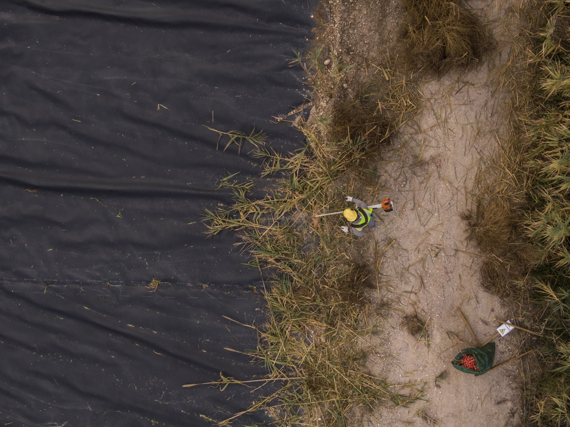 Recuperación de árboles y arbustos de ribera a lo largo del río Segura, en imágenes