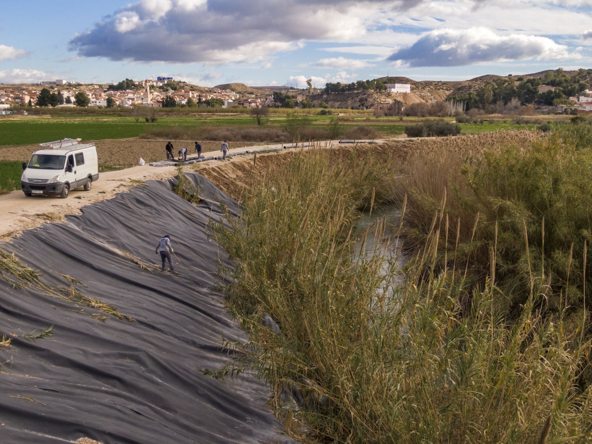 Recuperación de árboles y arbustos de ribera a lo largo del río Segura, en imágenes