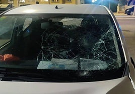 Daños que presentaba el automóvil del conductor tras el atropello.