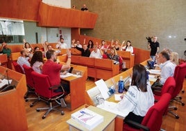 Los concejales votan a favor de iniciar los trámites para la concesión de las medallas de oro.