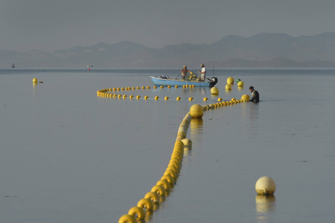 Las redes antimedusas colocadas en el Mar Menor, en imágenes