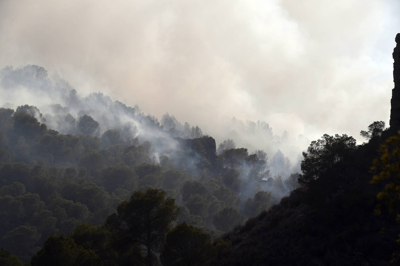 Un incendio en El Valle devora varias hectáreas de monte