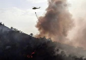 Un incendio forestal en El Valle calcina 13 hectáreas y pone en alerta a los vecinos