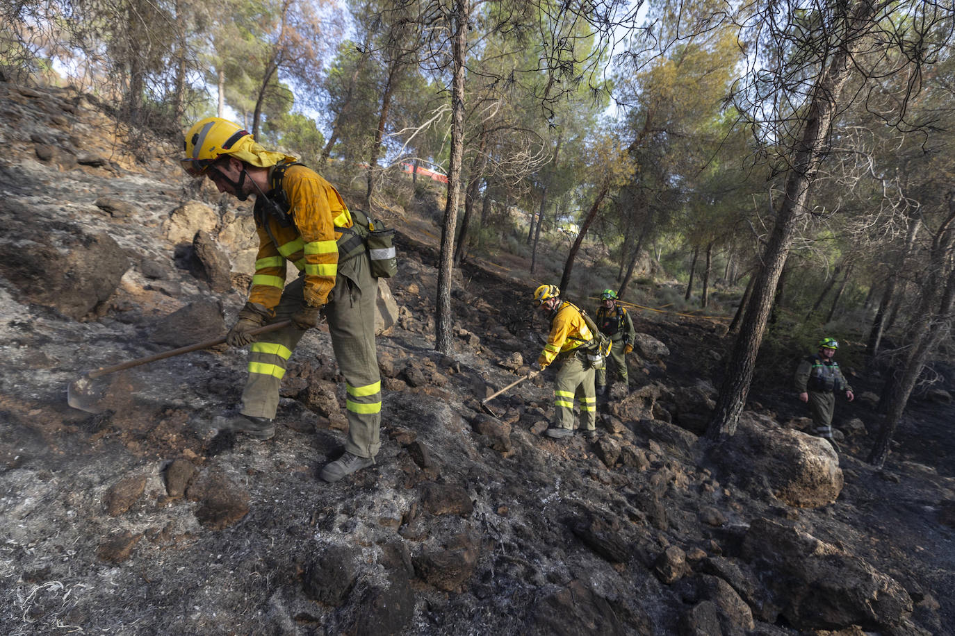 Un incendio en El Valle devora varias hectáreas de monte