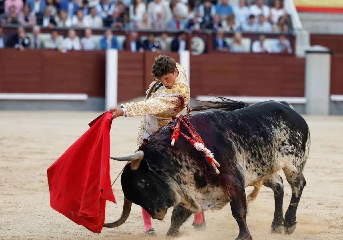 Toreo de calidad del totanero Jorge Martínez, que se lesionó del hombro en Azpeitia